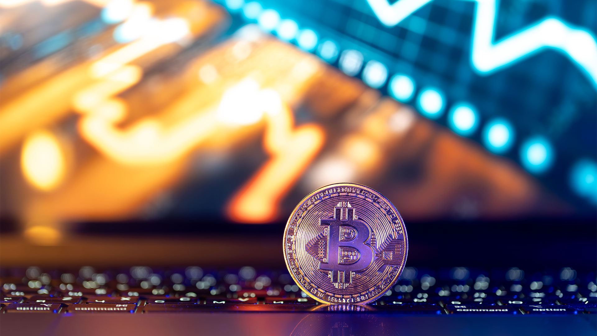 Crypto Foundations Course: Go From Confusion to Confidence