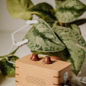 Appareil musical en bois noble connecté à une plante verte