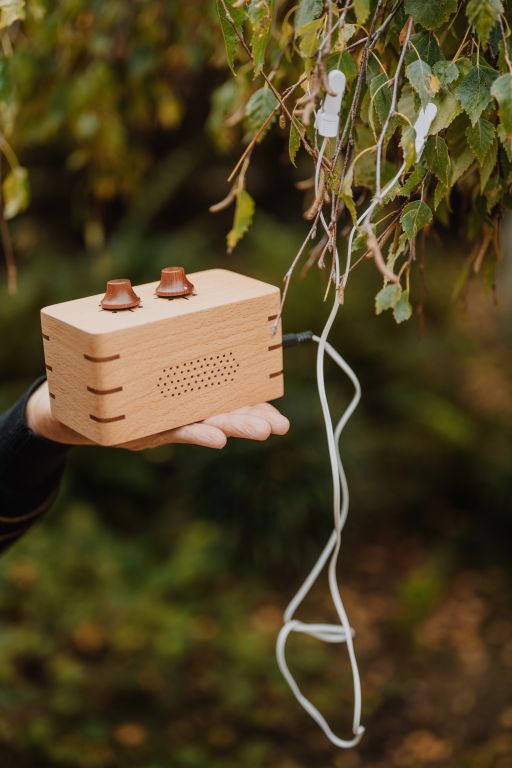 PhytoHarmonia - Image 7