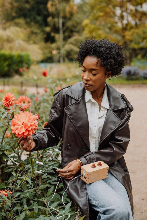 PhytoHarmonia - Image 2