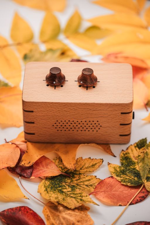 PhytoHarmonia - Image 8