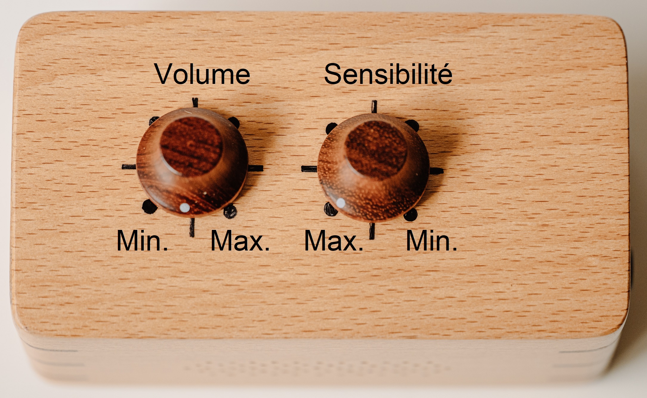 PhytoHarmonia - Image 10